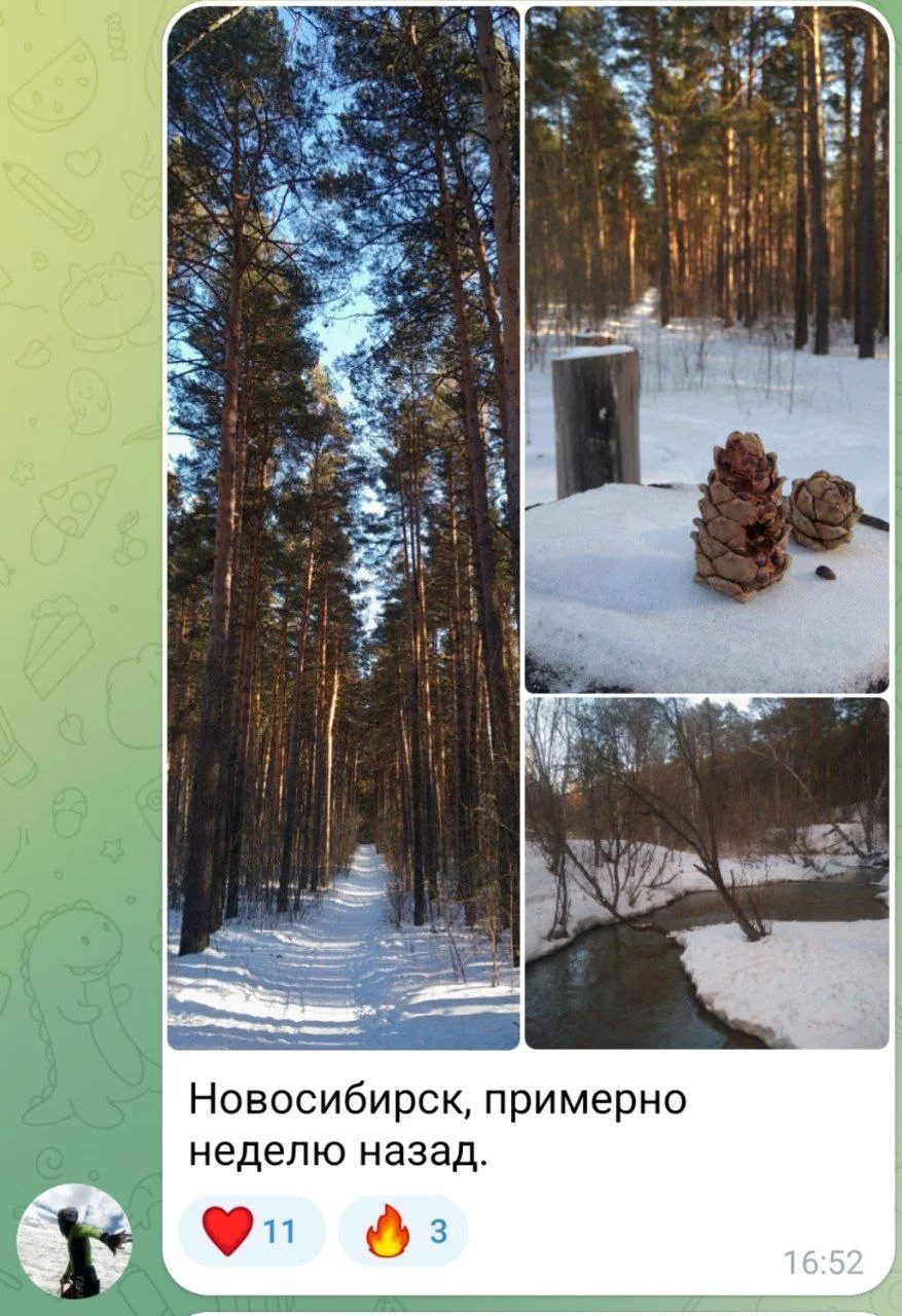 Изображение к публикации