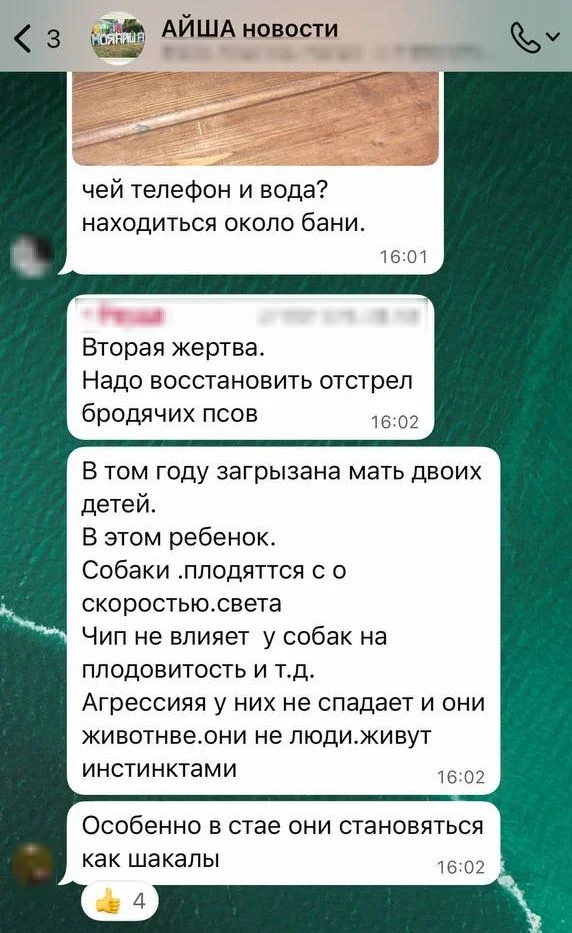 Изображение к публикации