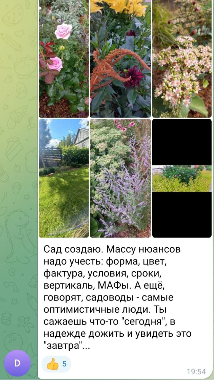 Изображение к публикации