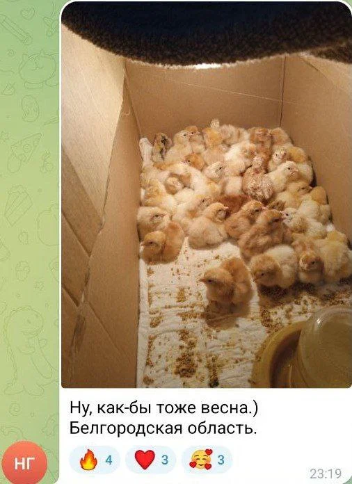 Изображение к публикации