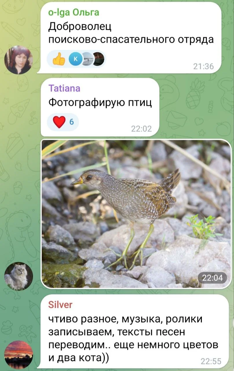 Изображение к публикации