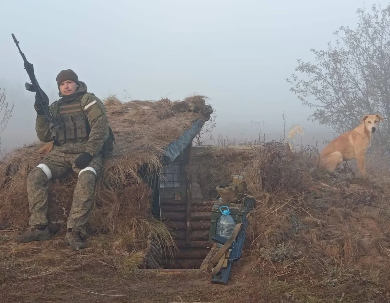 Изображение к публикации