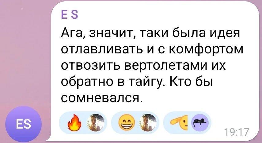 Изображение к публикации