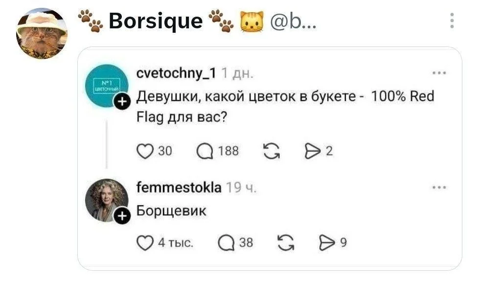 Изображение к публикации