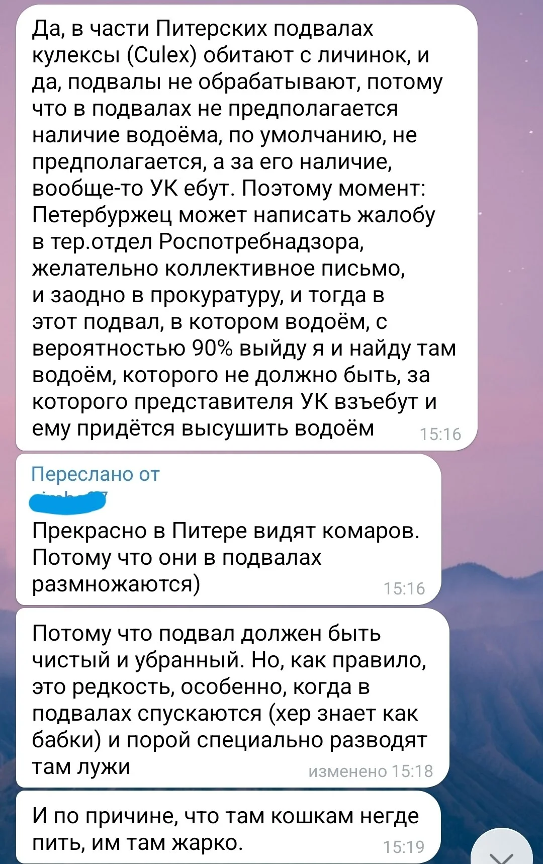 Изображение к публикации
