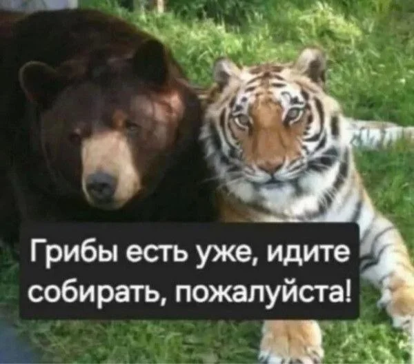 Изображение к публикации