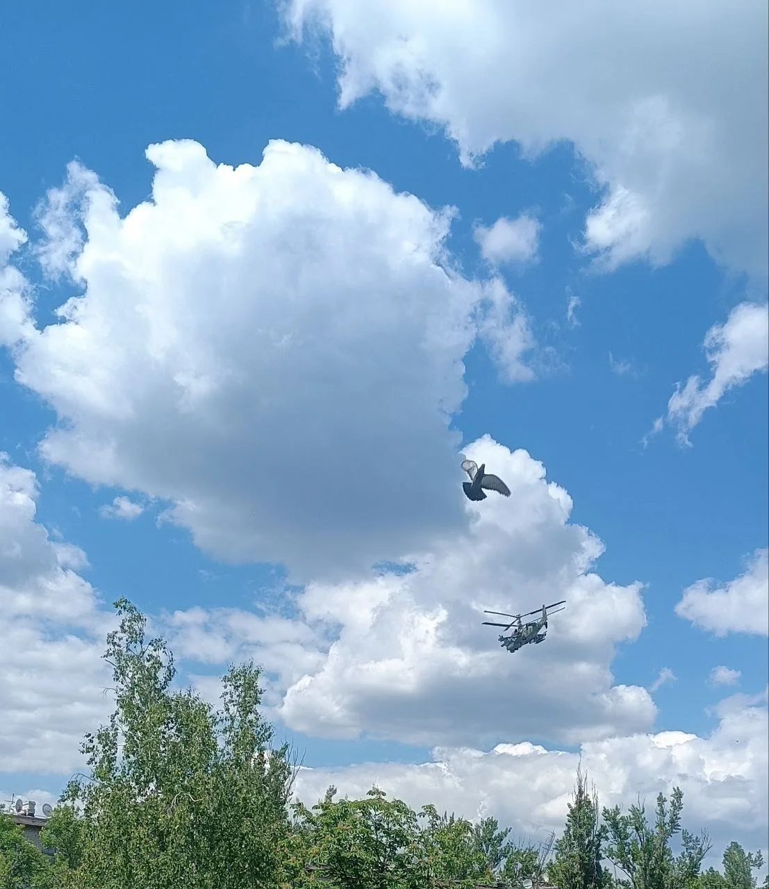 Изображение к публикации