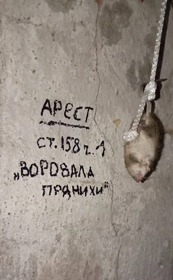 Изображение к публикации