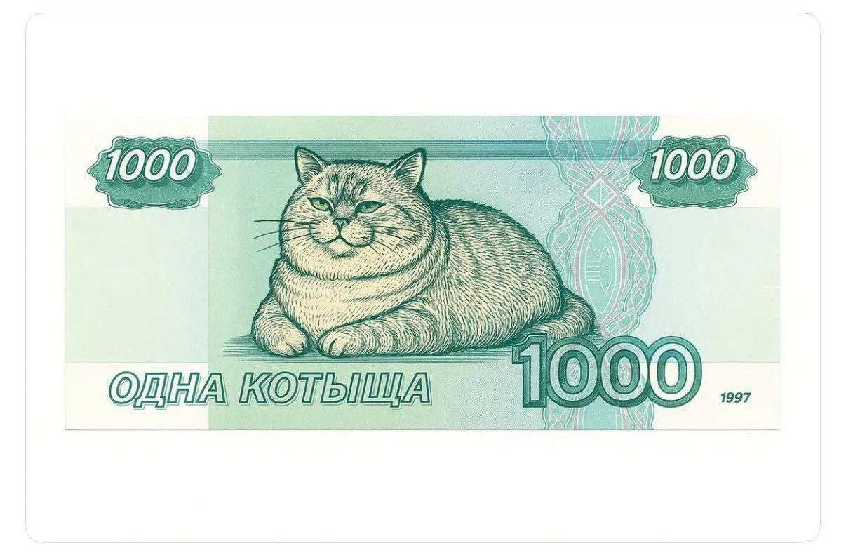 Изображение к публикации