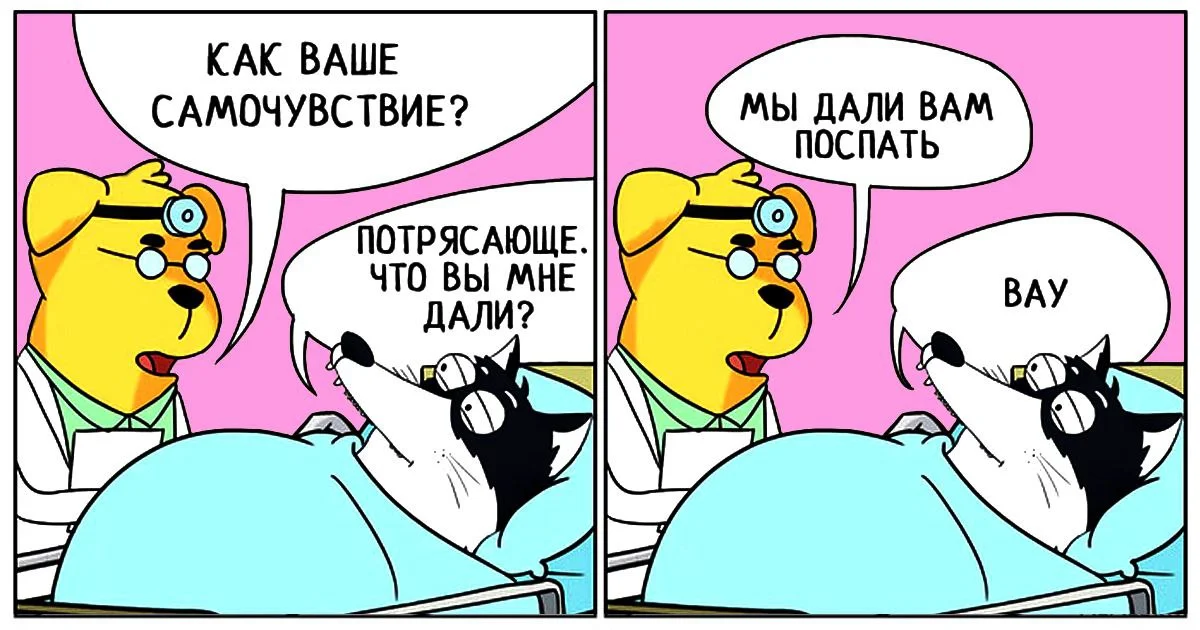 Изображение к публикации