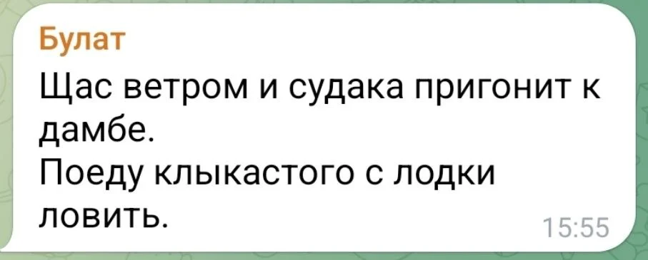 Изображение к публикации