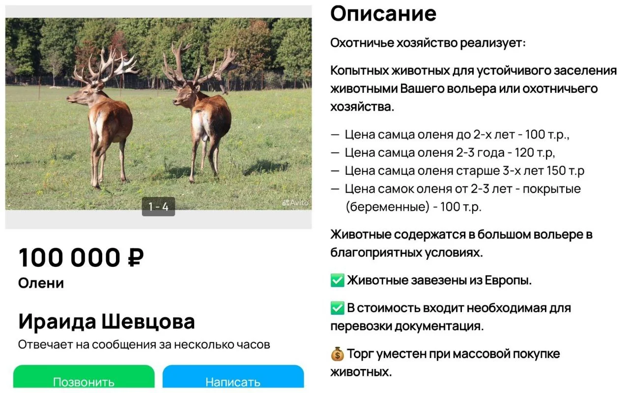 Изображение к публикации