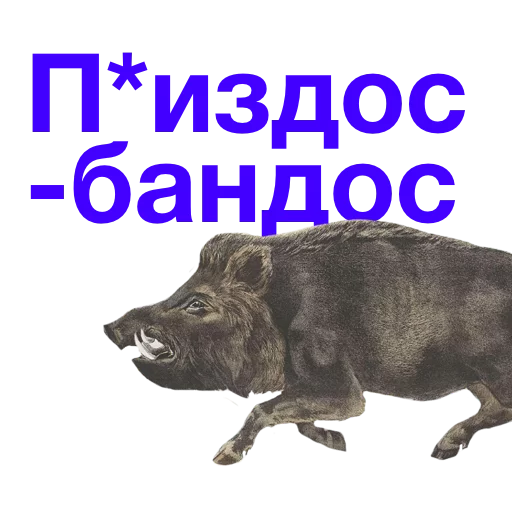 Изображение к публикации