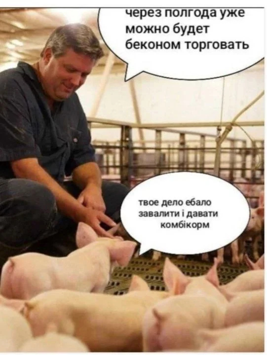 Изображение к публикации