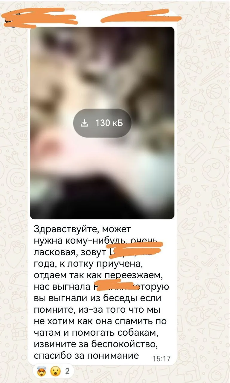 Изображение к публикации