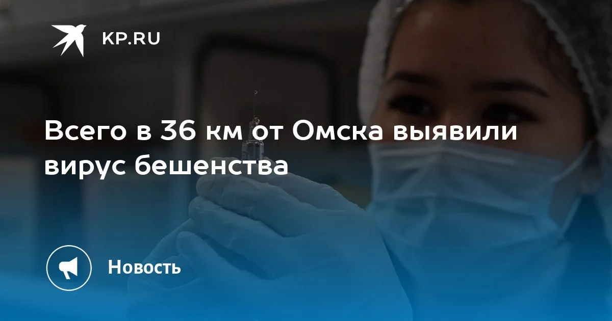 Изображение к публикации