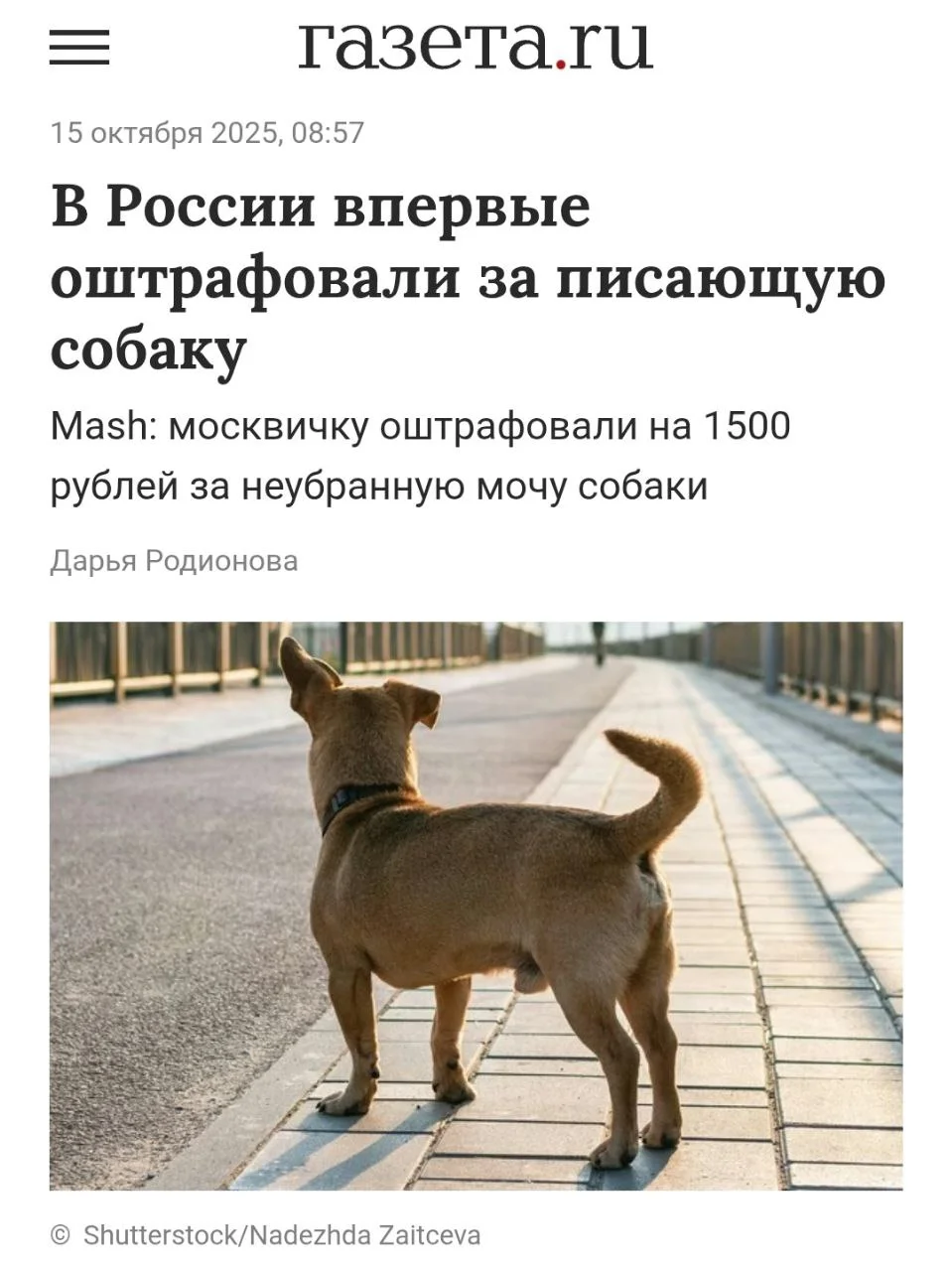 Изображение к публикации