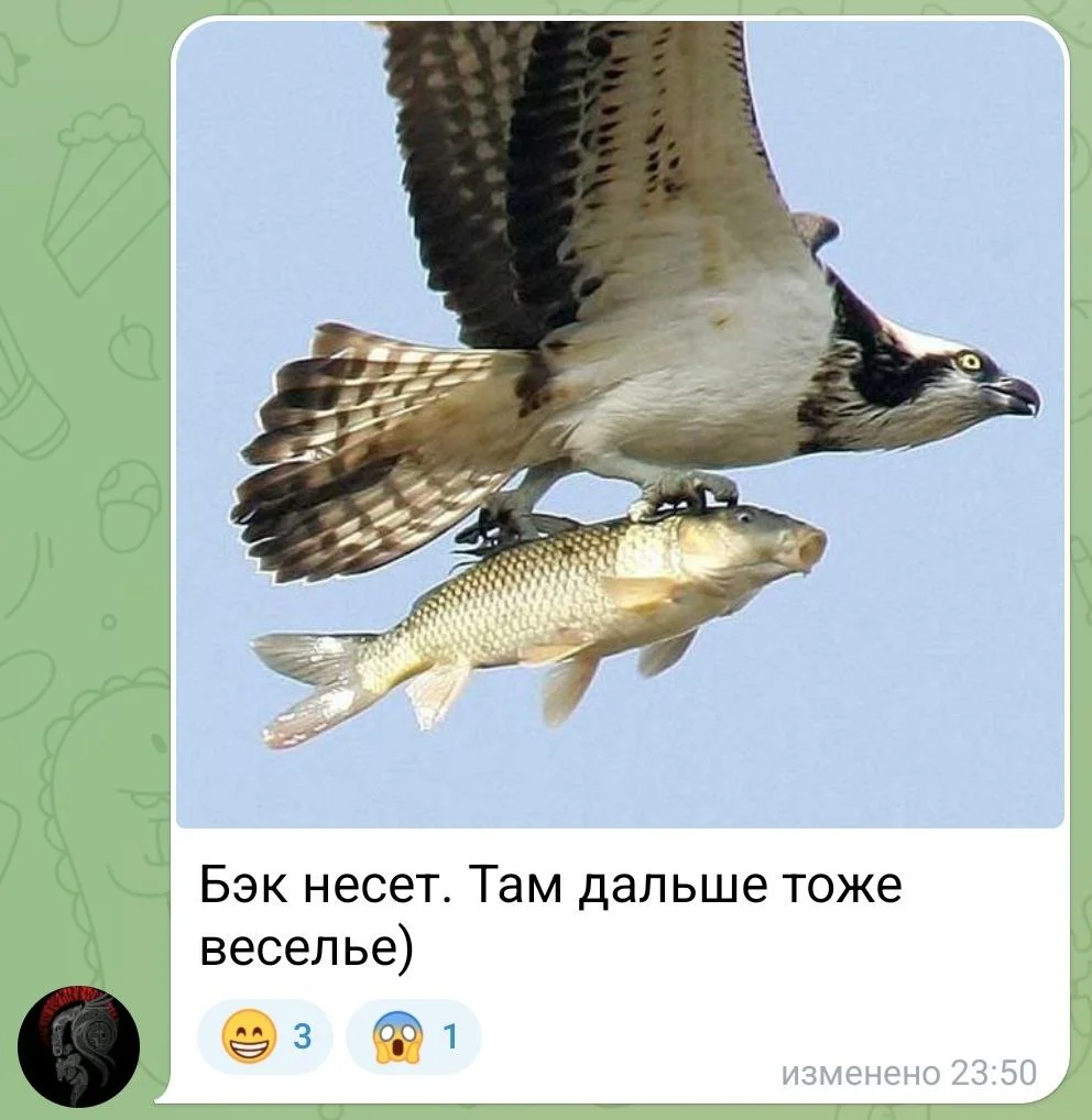 Изображение к публикации