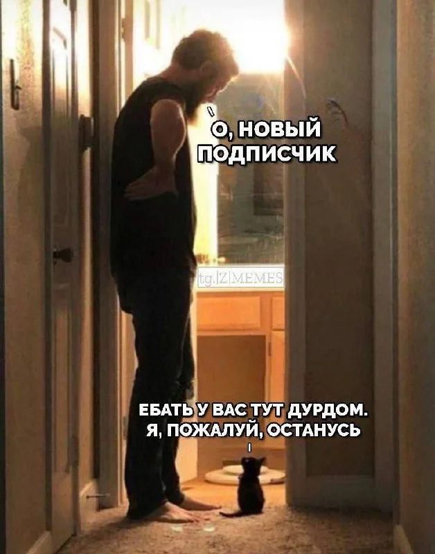 Изображение к публикации