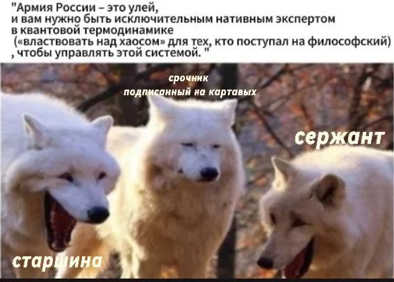 Изображение к публикации