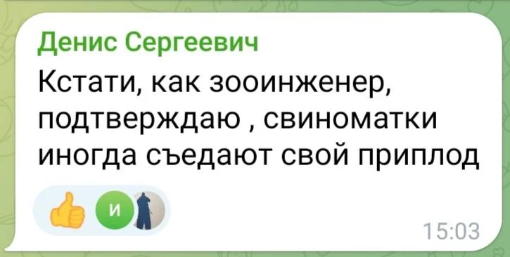 Изображение к публикации