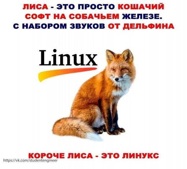 Изображение к публикации