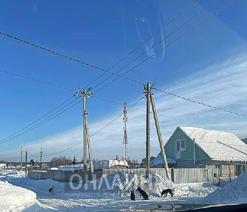 Изображение к публикации