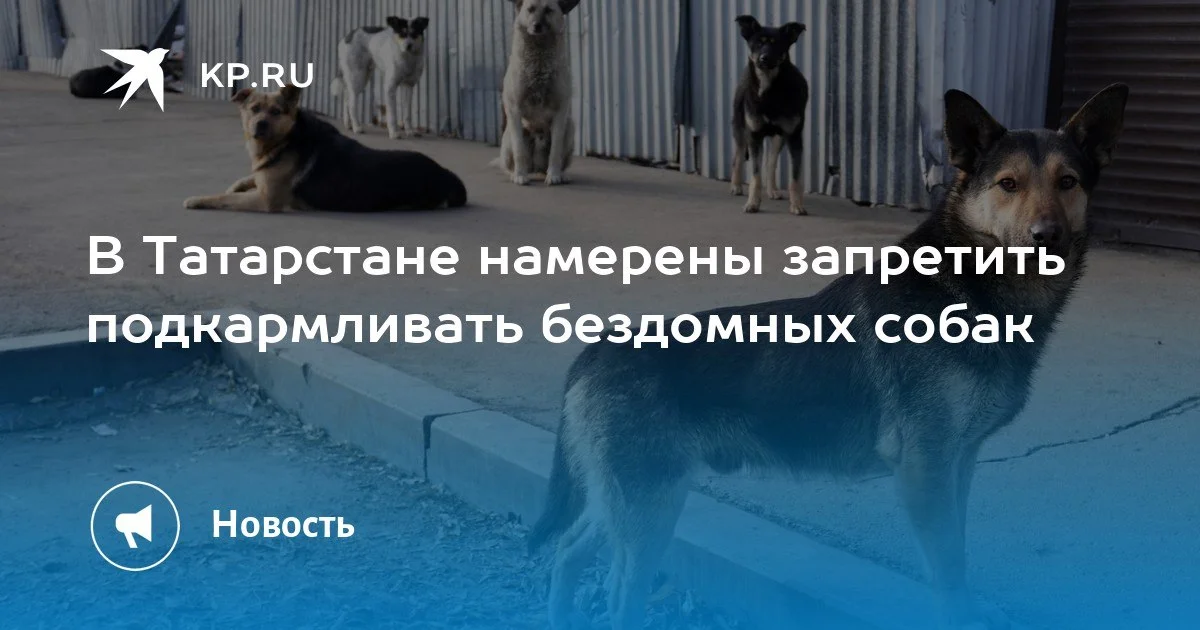 Изображение к публикации