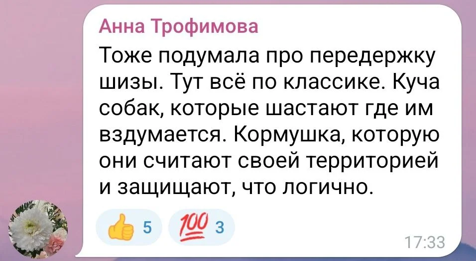 Изображение к публикации
