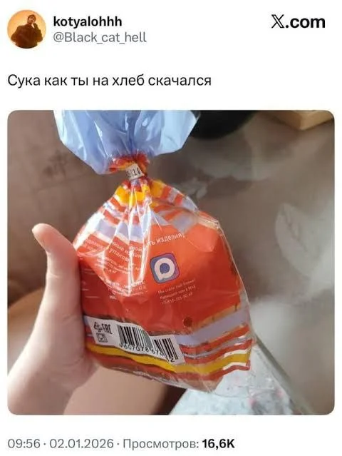 Изображение к публикации