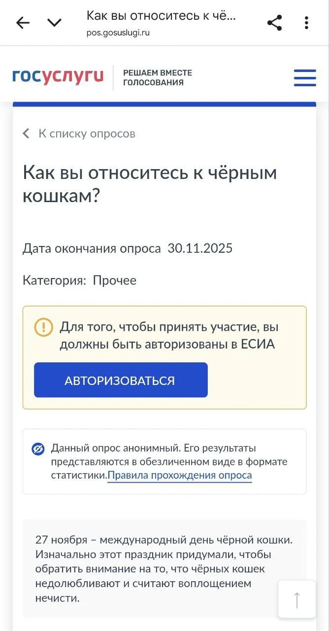 Изображение к публикации
