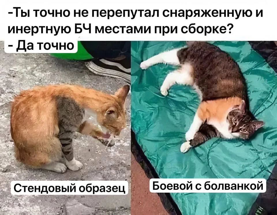 Изображение к публикации