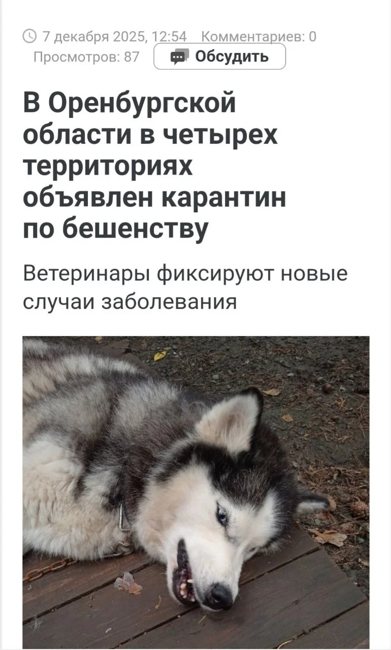 Изображение к публикации