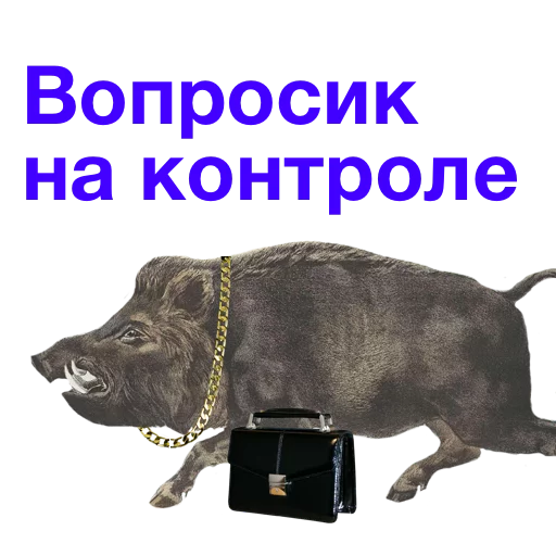 Изображение к публикации
