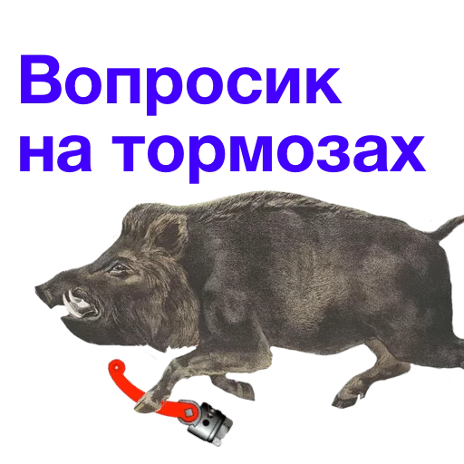 Изображение к публикации