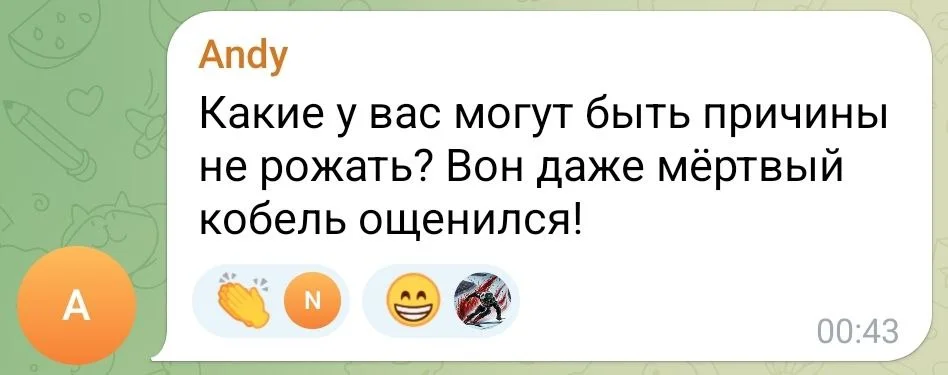 Изображение к публикации