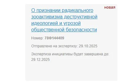 Изображение к публикации