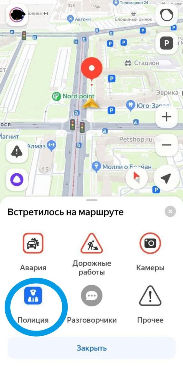 Изображение к публикации
