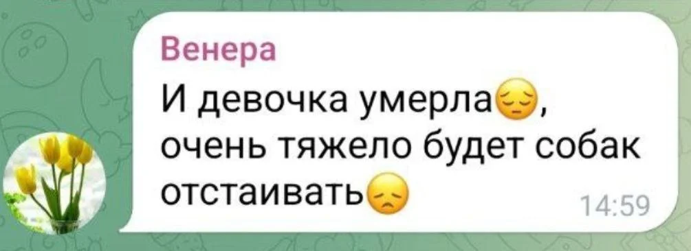 Изображение к публикации