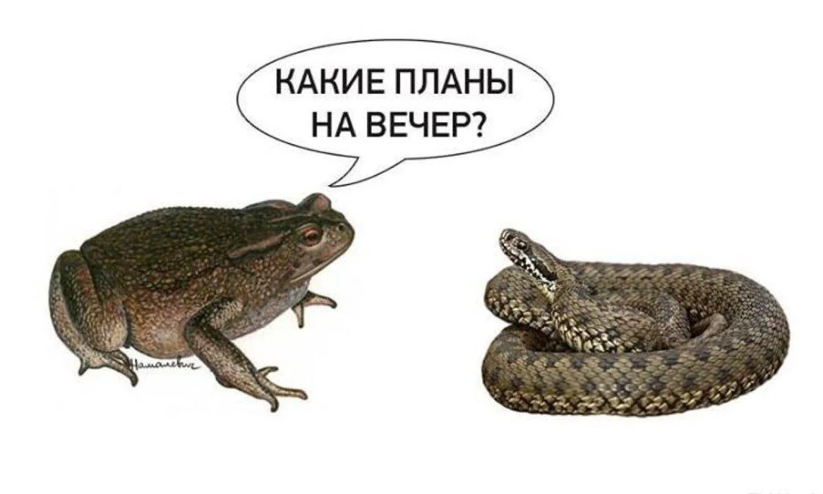 Изображение к публикации