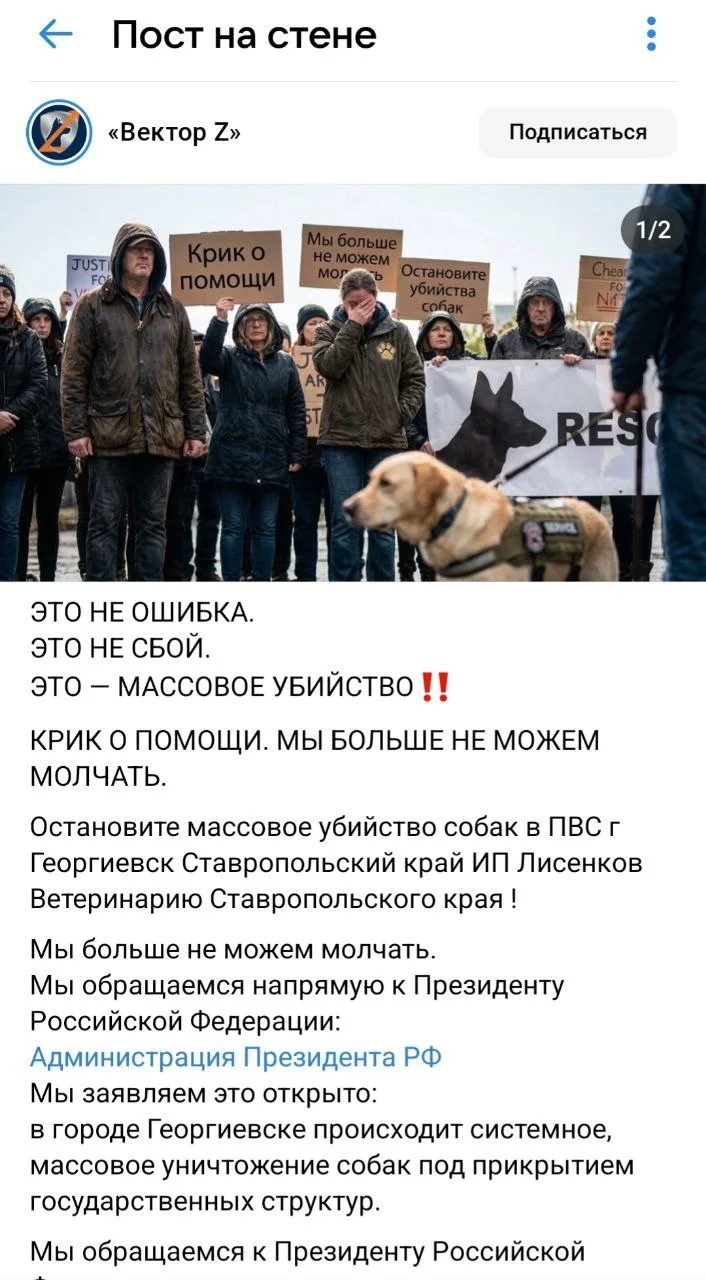 Изображение к публикации