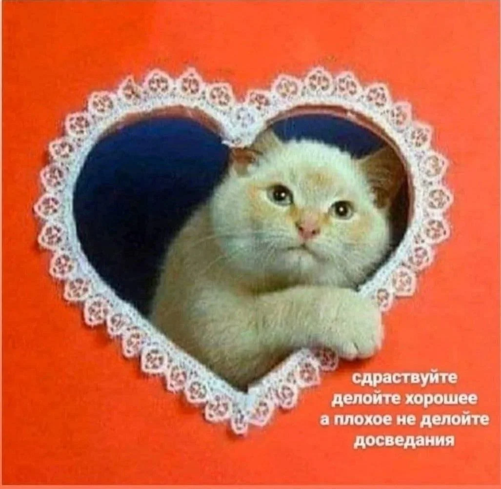 Изображение к публикации