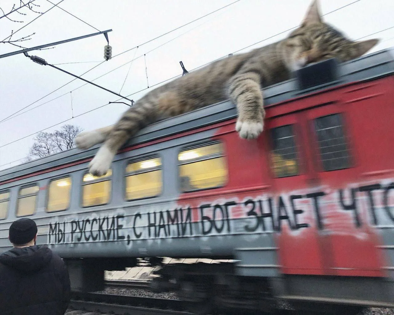 Изображение к публикации