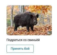 Изображение к публикации
