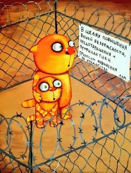 Изображение к публикации