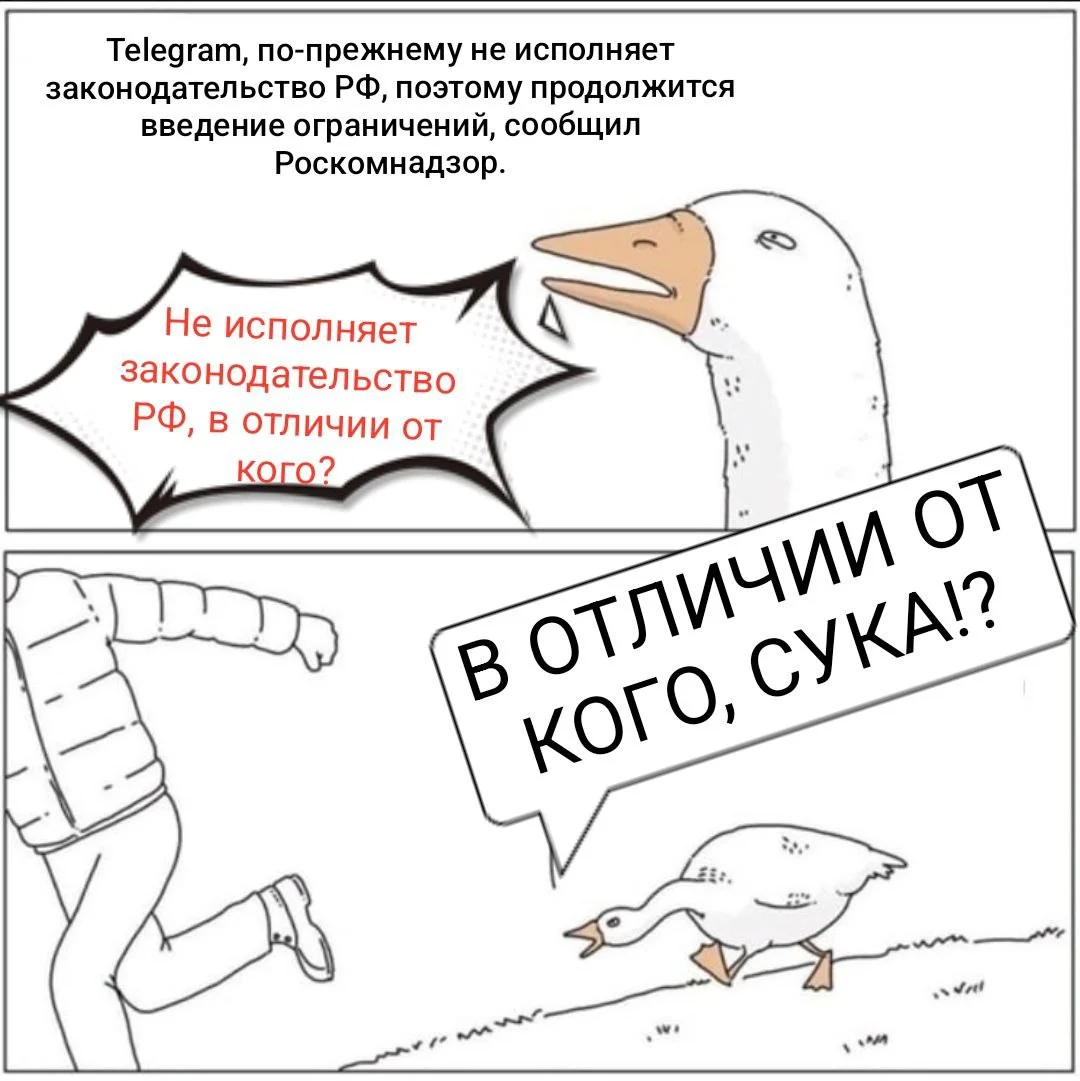Изображение к публикации