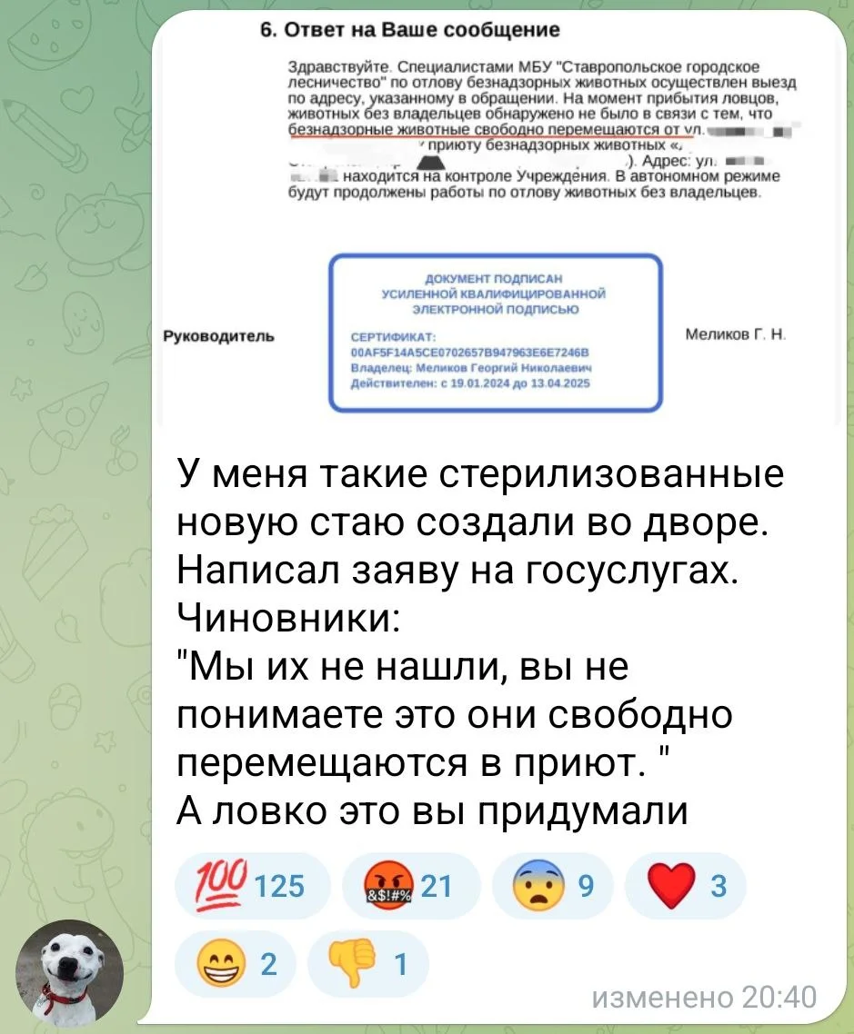 Изображение к публикации