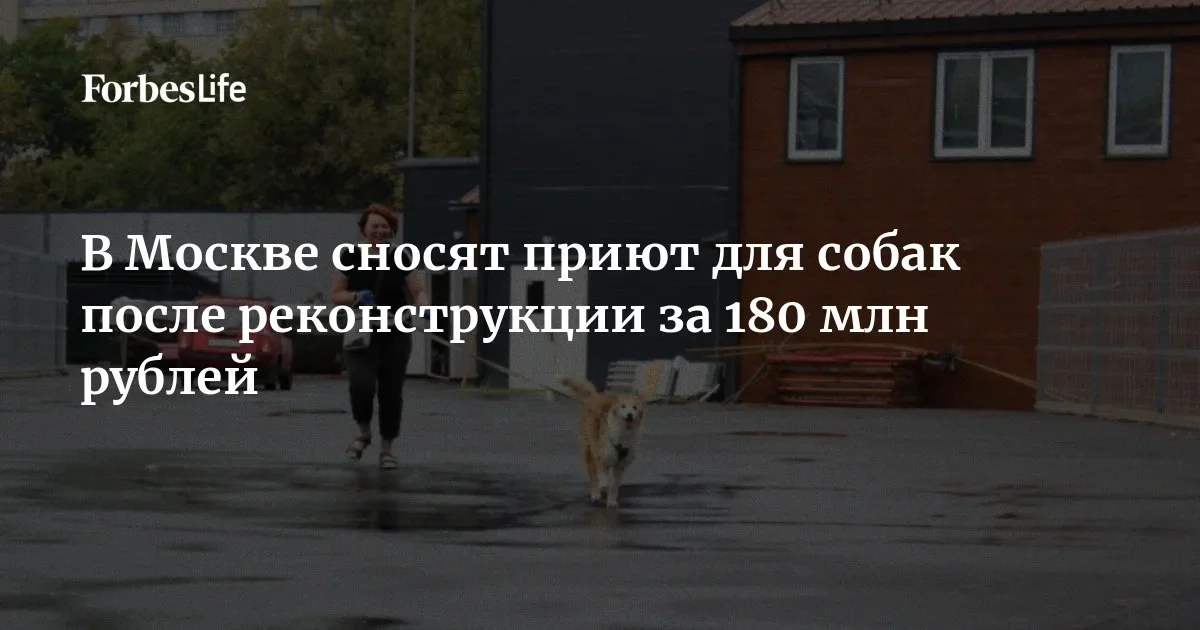Изображение к публикации