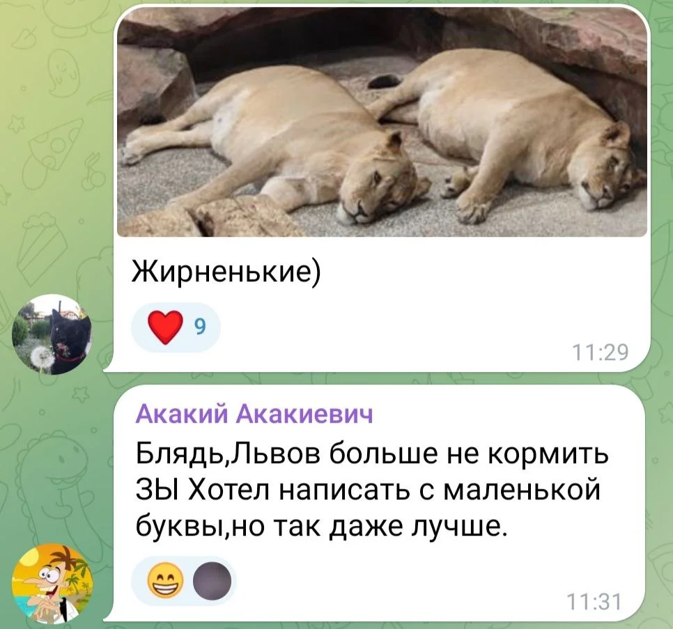Изображение к публикации