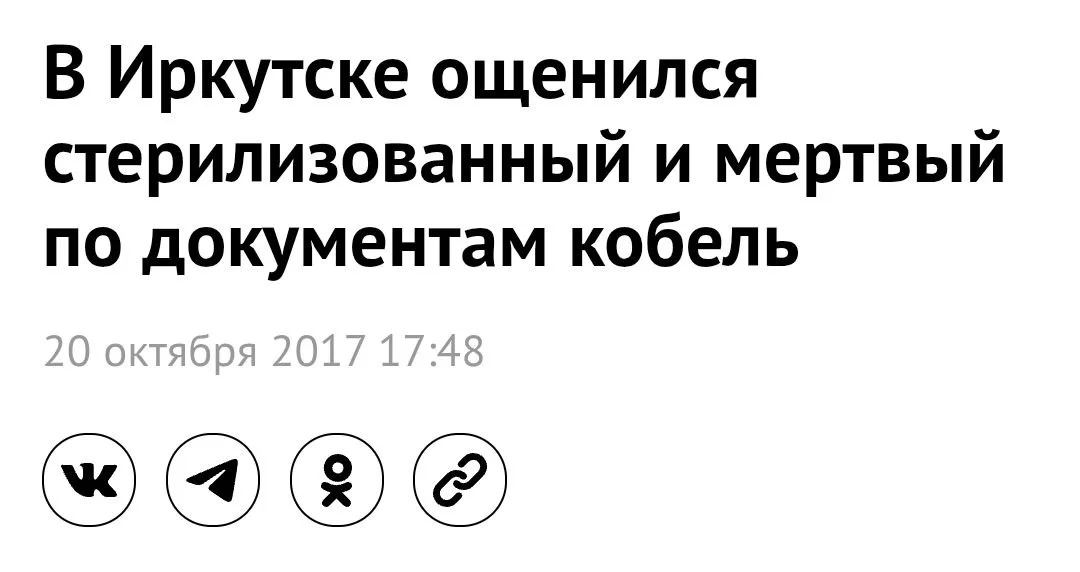 Изображение к публикации